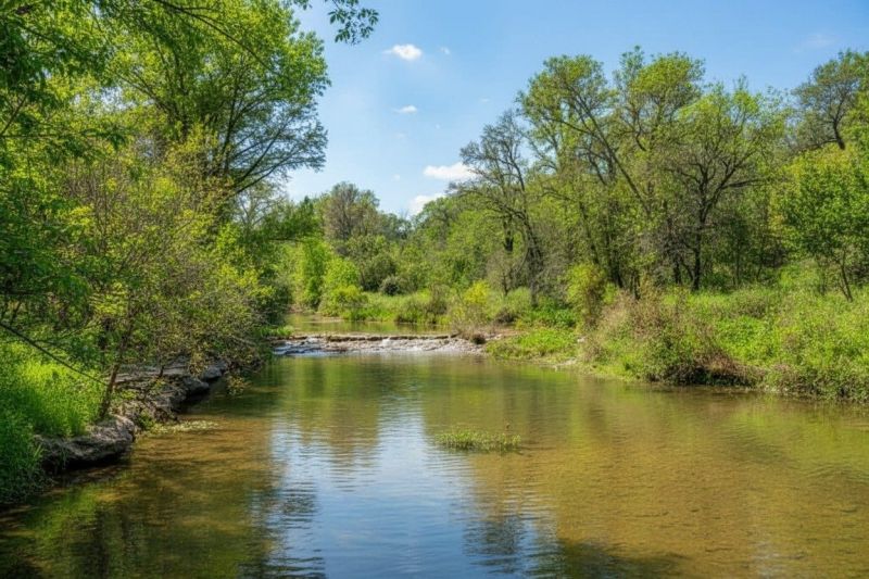 Best Bathroom Remodeling pros in Cedar Creek, TX